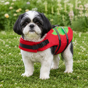 Red Turtle Shell Dog Life Jacket