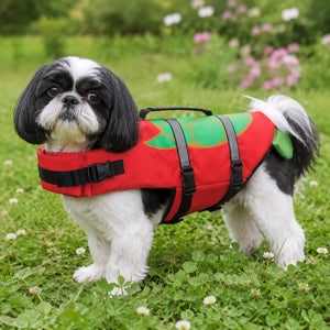 Red Turtle Shell Dog Life Jacket