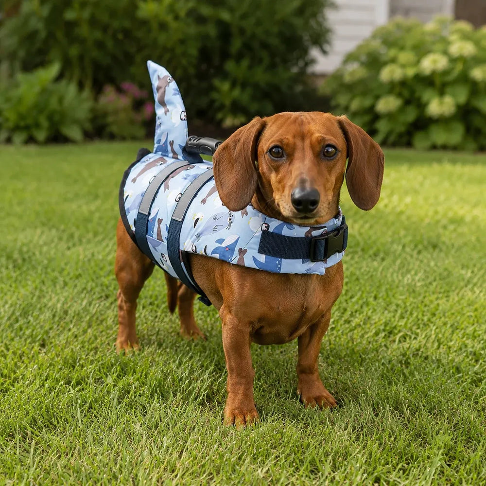 Light Blue Cartoon Shark Fin Dog Life Jacket