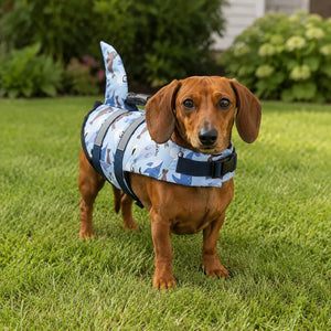 Light Blue Cartoon Shark Fin Dog Life Jacket