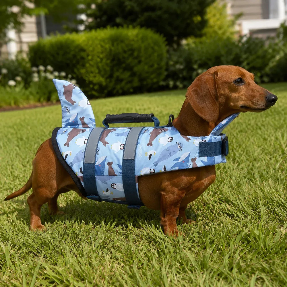 Light Blue Cartoon Shark Fin Dog Life Jacket