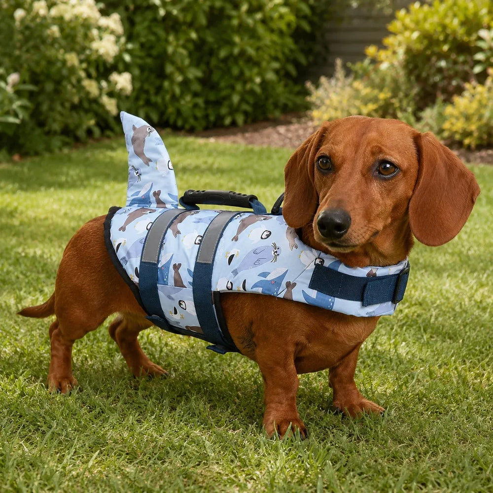Light Blue Cartoon Shark Fin Dog Life Jacket