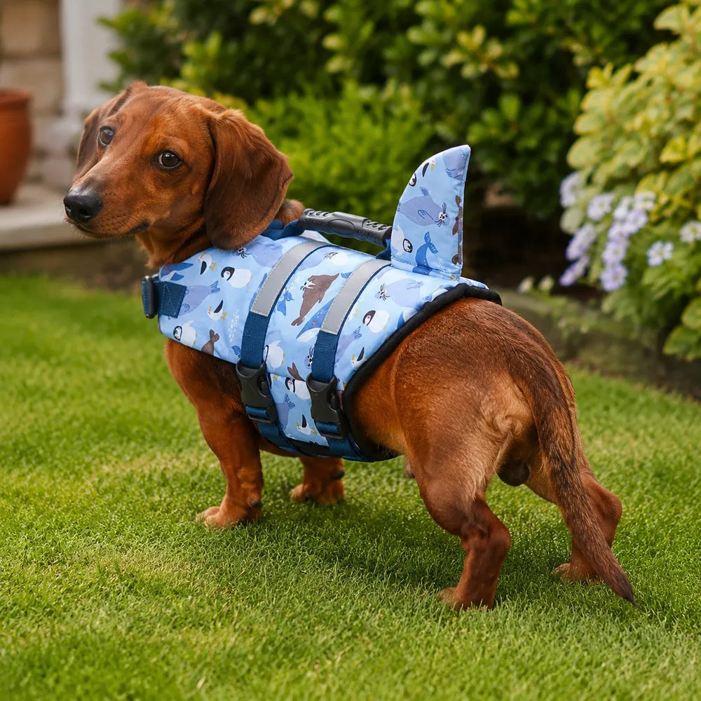 Light Blue Cartoon Shark Fin Dog Life Jacket