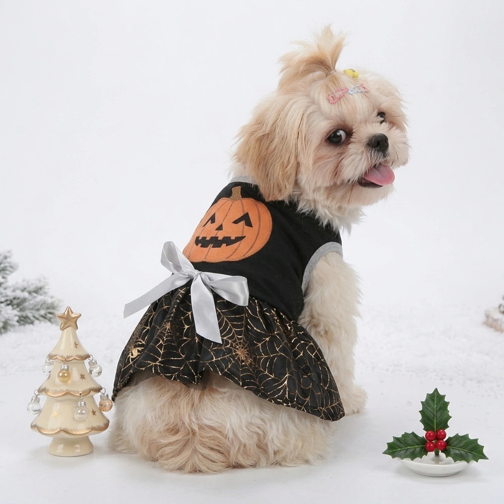 Tamecare Black Pumpkin Spiderweb Dog Dress