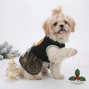 Tamecare Black Pumpkin Spiderweb Dog Dress