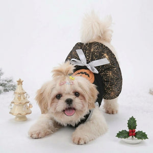 Tamecare Black Pumpkin Spiderweb Dog Dress