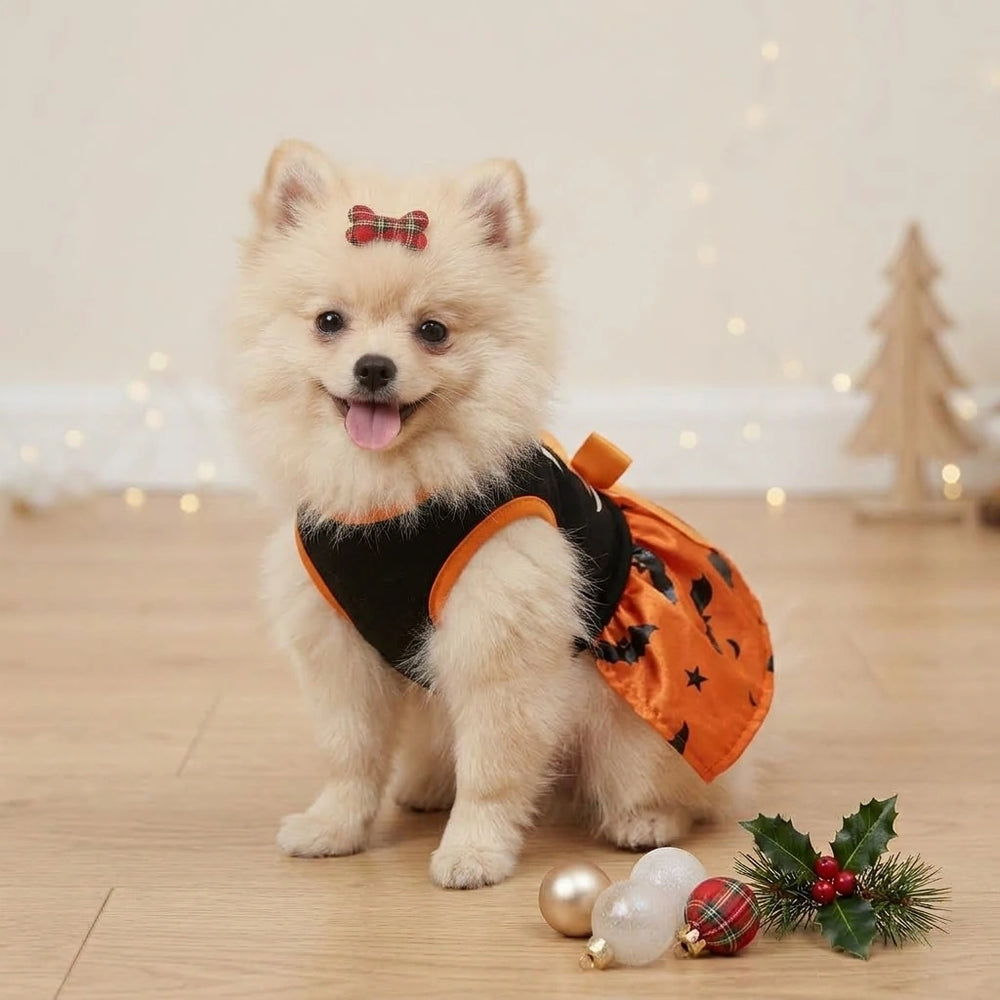 Tamecare Orange Ghost and Bat Halloween Dog Dress