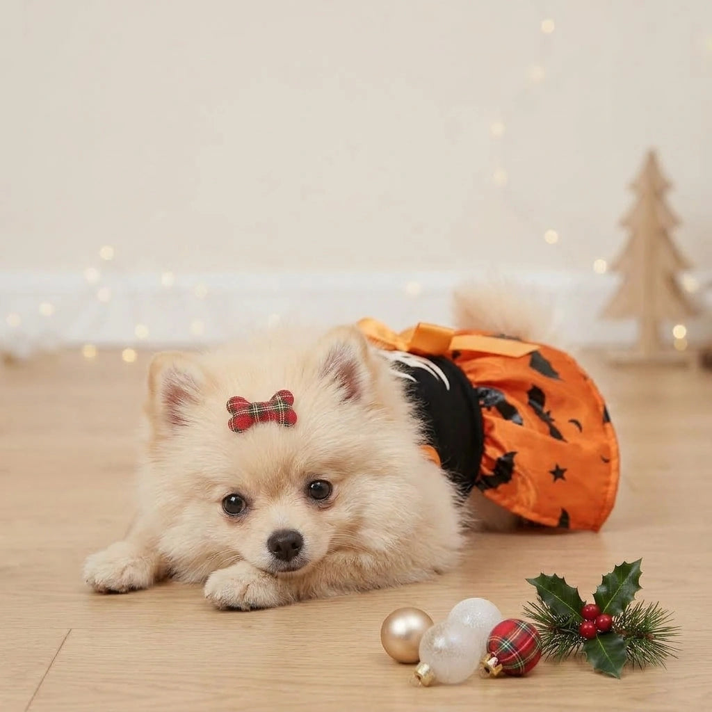 Tamecare Orange Ghost and Bat Halloween Dog Dress - lifestyle view