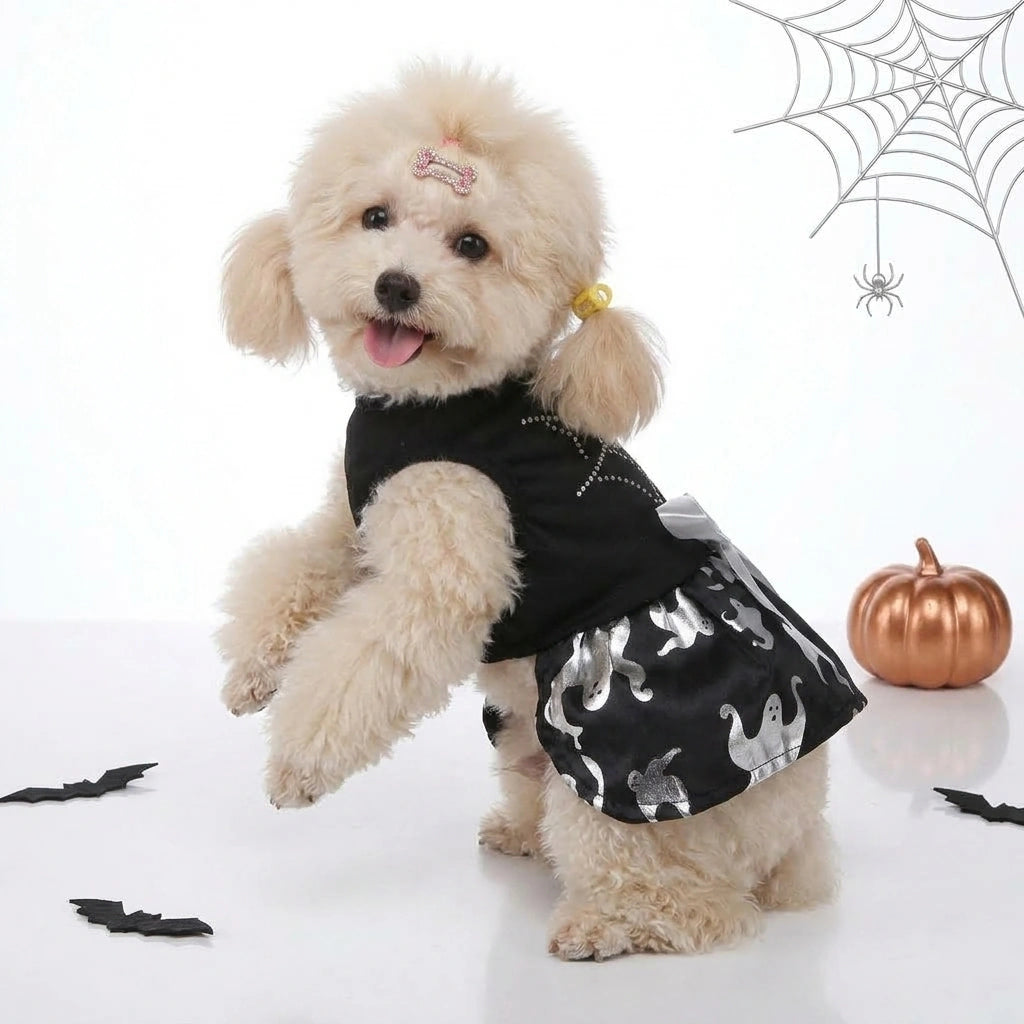Tamecare Black Spiderweb and Ghost Dog Dress - lifestyle view