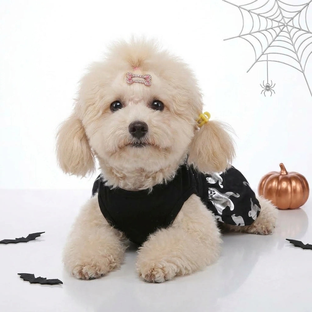 Tamecare Black Spiderweb and Ghost Dog Dress