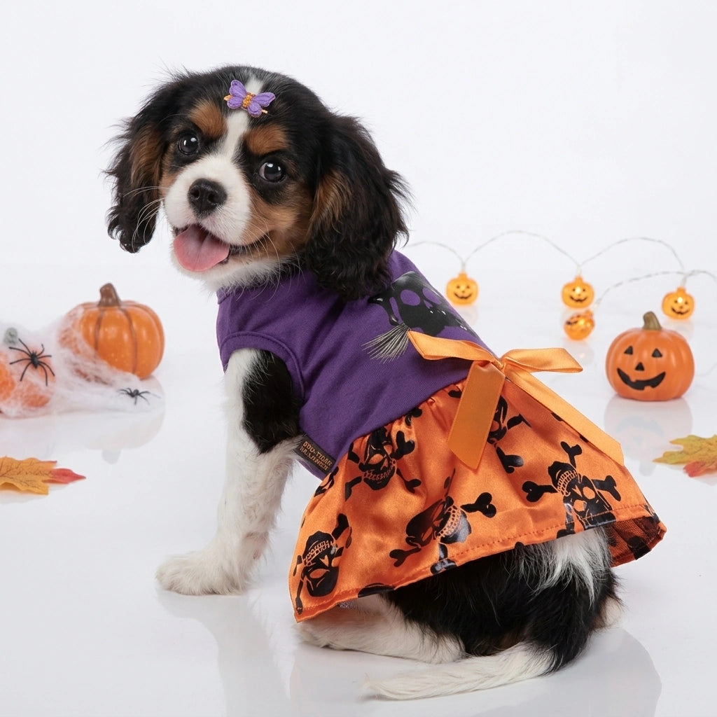 Tamecare Purple Witch and Skull Halloween Dog Dress - lifestyle view