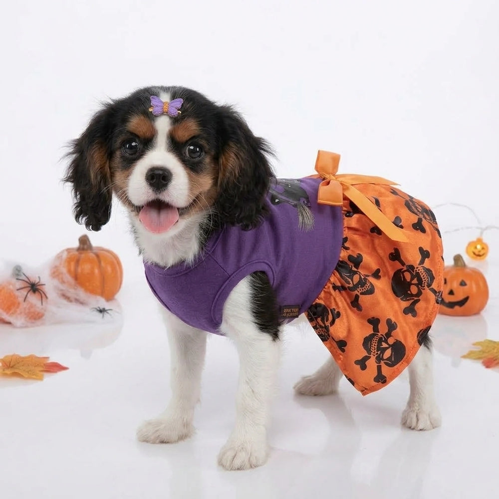 Tamecare Purple Witch and Skull Halloween Dog Dress