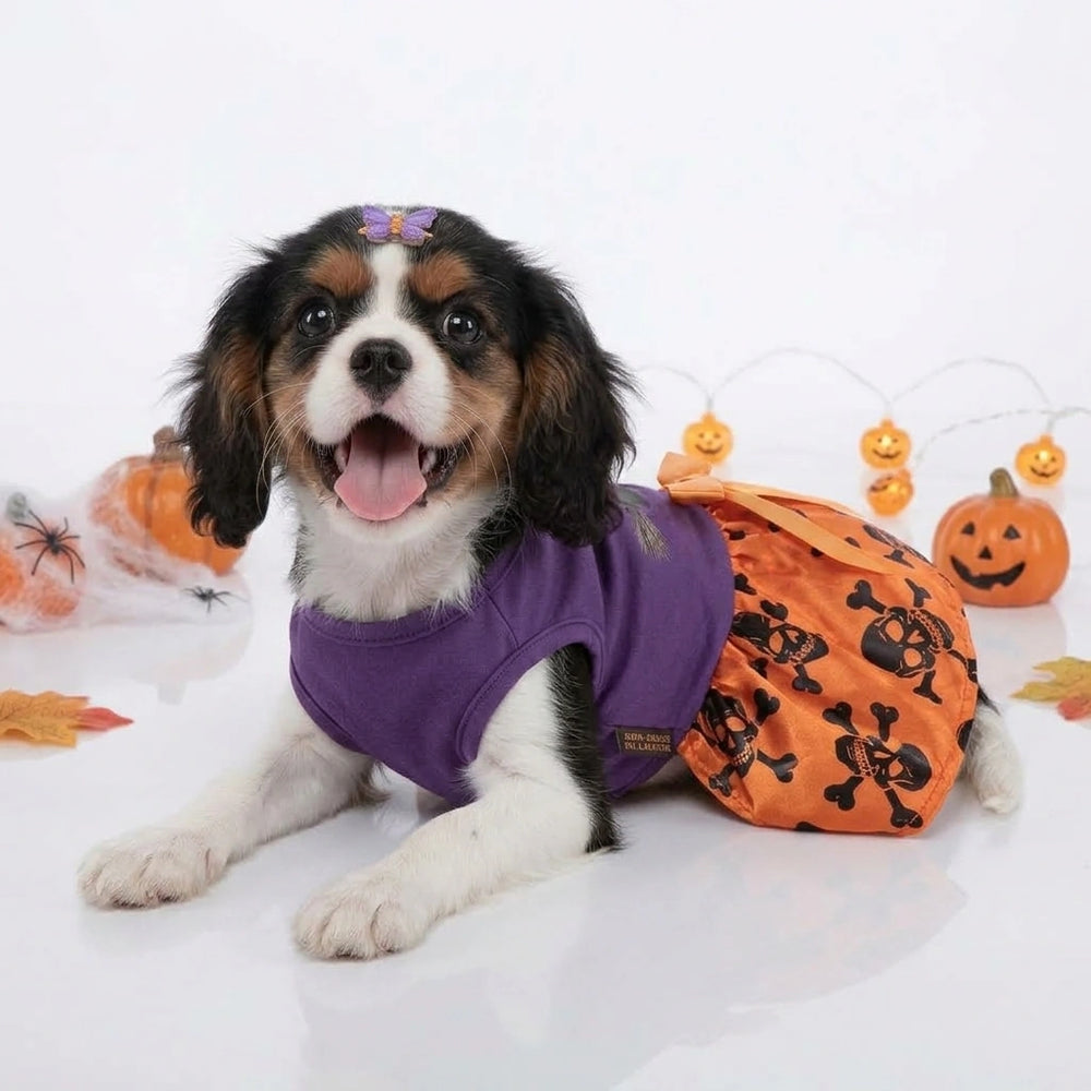 Tamecare Purple Witch and Skull Halloween Dog Dress