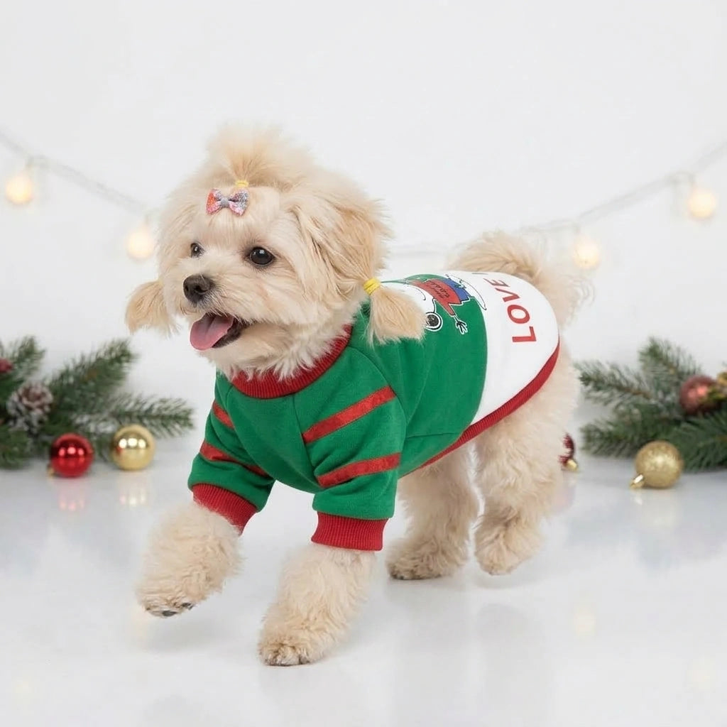 Tamecare Green LOVE Snowman Christmas Dog Shirt - lifestyle view