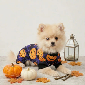 Tamecare Purple Bat and Pumpkin Halloween Dog Pajamas