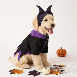 Tamecare Magic Wizard Pet Costume Set