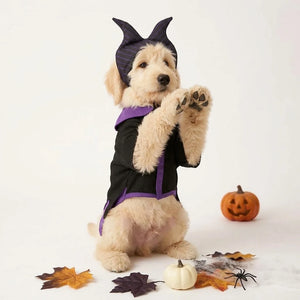 Tamecare Magic Wizard Pet Costume Set
