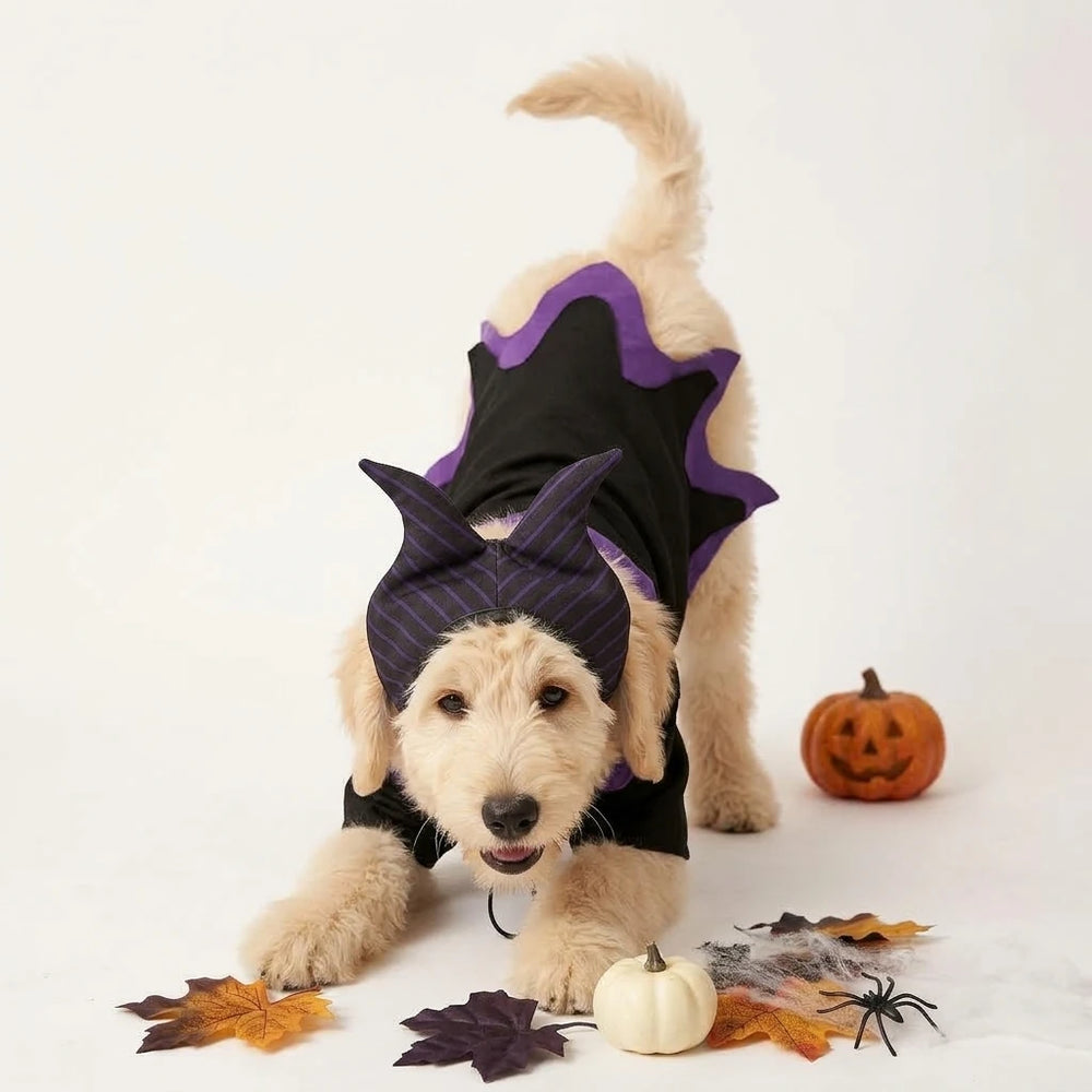 Tamecare Magic Wizard Pet Costume Set