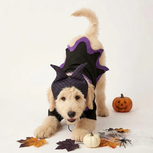 Tamecare Magic Wizard Pet Costume Set