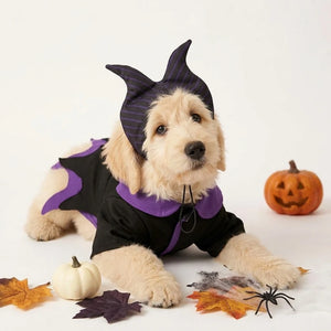 Tamecare Magic Wizard Pet Costume Set