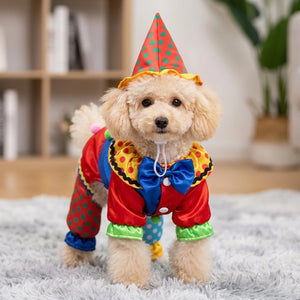 Tamecare Pet Clown Costume Set
