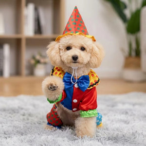 Tamecare Pet Clown Costume Set