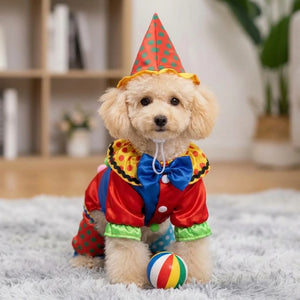 Tamecare Pet Clown Costume Set