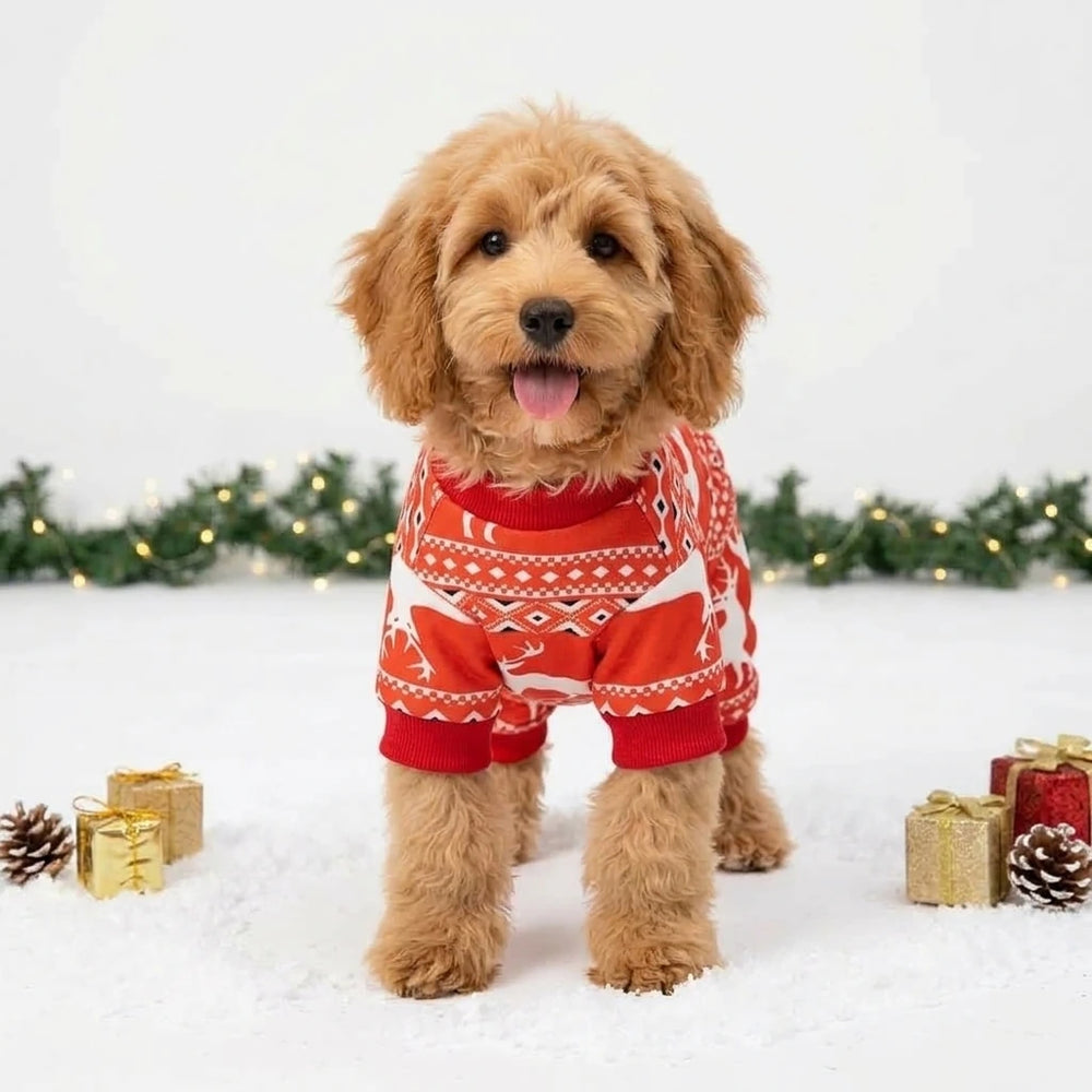 Tamecare Festive Red Reindeer Dog Jumpsuit
