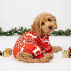 Tamecare Festive Red Reindeer Dog Jumpsuit