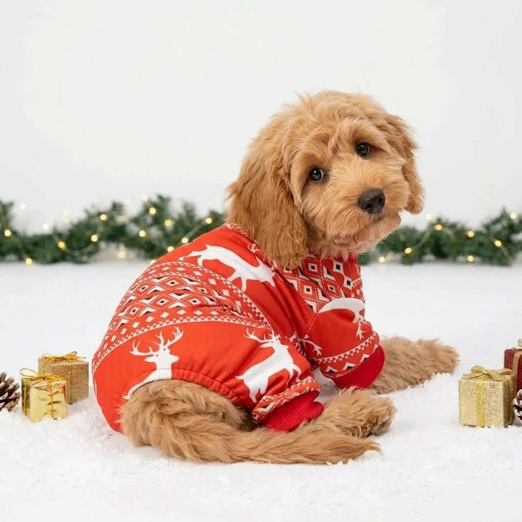 Tamecare Festive Red Reindeer Dog Jumpsuit - lifestyle view 3