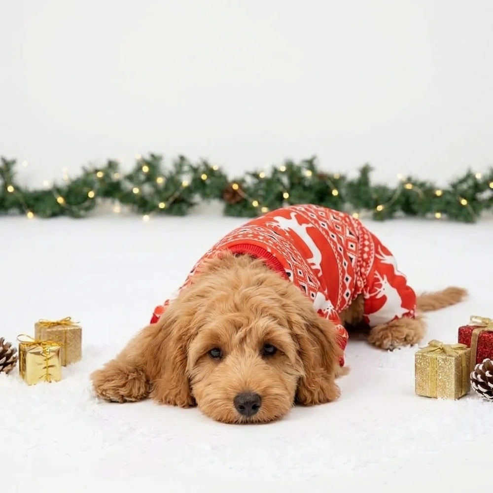 Tamecare Festive Red Reindeer Dog Jumpsuit