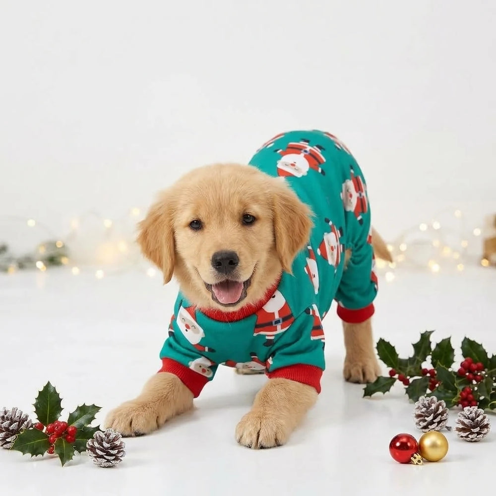 Tamecare Green Santa Print Dog Jumpsuit