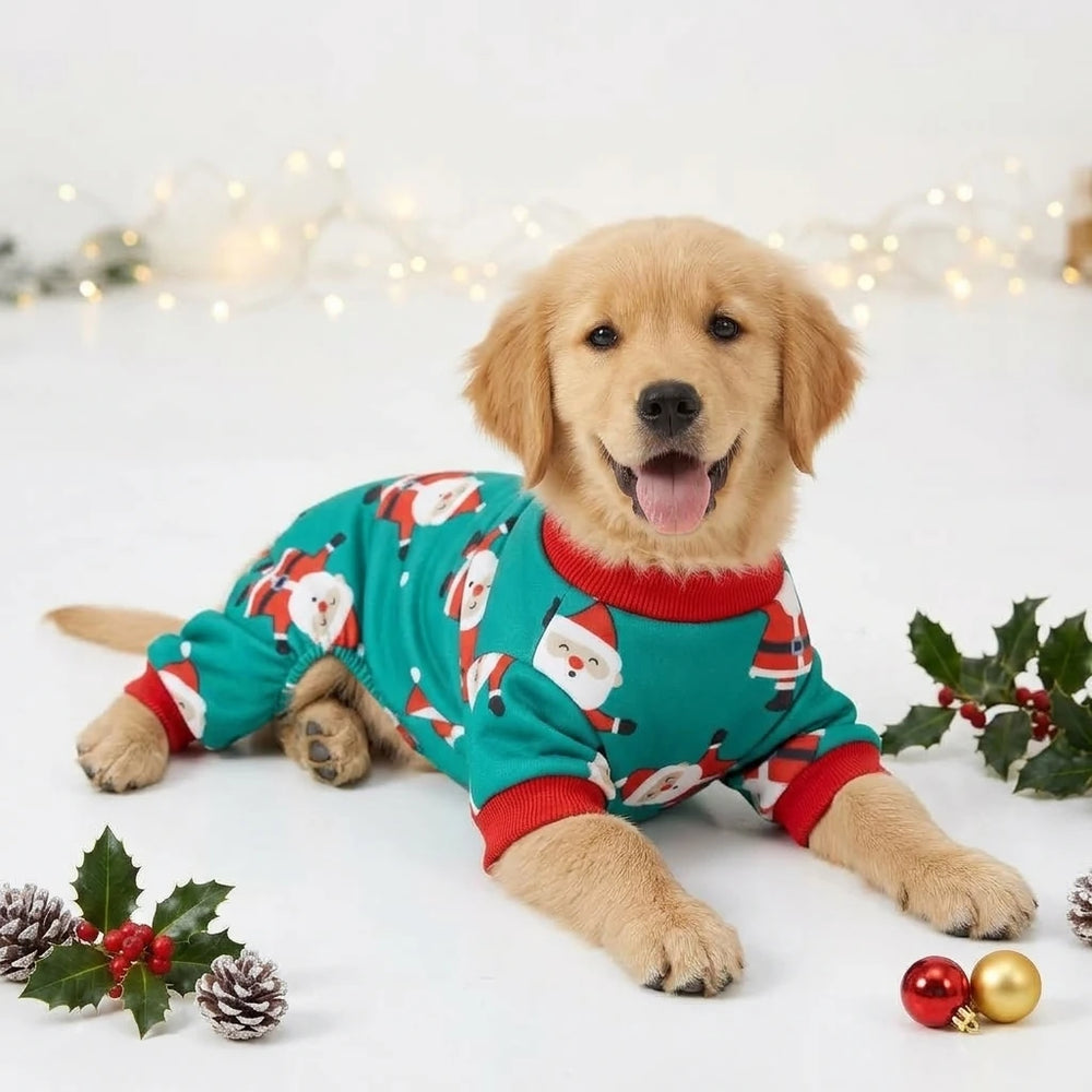 Tamecare Green Santa Print Dog Jumpsuit
