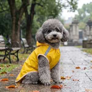 Reflective Hooded Dog Rain Poncho with Leash Hole