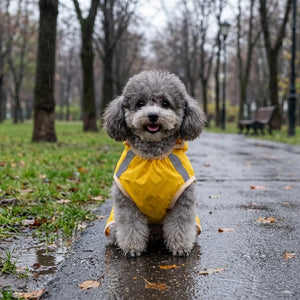 Reflective Hooded Dog Rain Poncho with Leash Hole