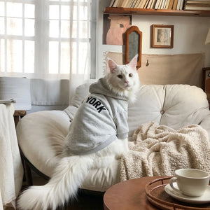 Tamecare Cozy New York Cat Hoodie