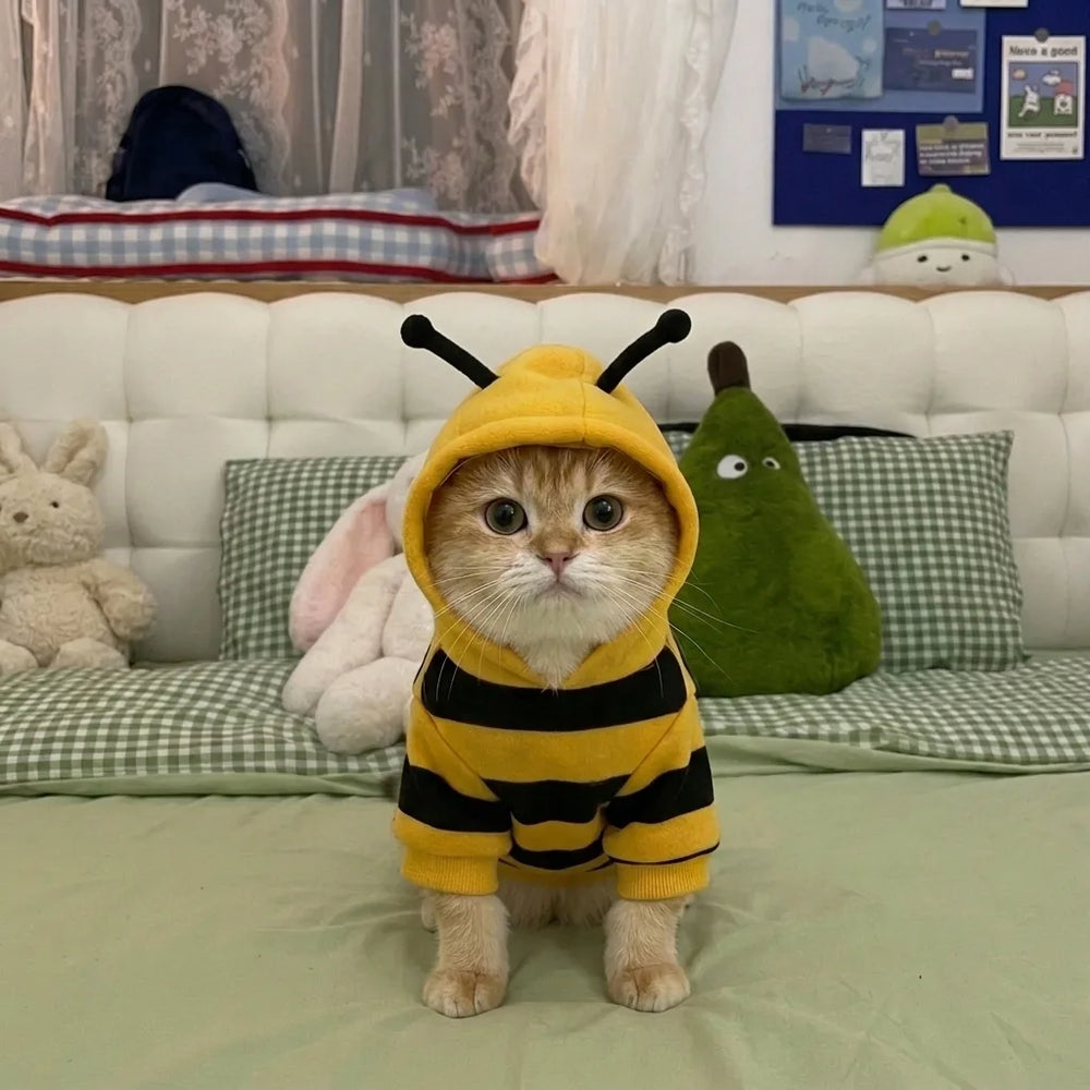 Tamecare Busy Bee Cat Hoodie