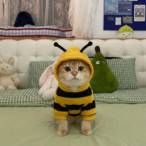Tamecare Busy Bee Cat Hoodie