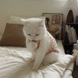 Tamecare Colorful Polka Dot Mesh Cat Vest