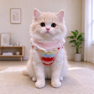Tamecare Rainbow Cat Shirt