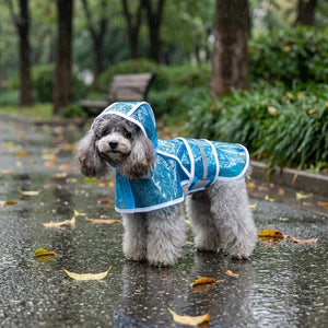 Transparent Hooded Dog Raincoat with Leash Hole