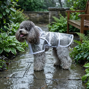 Transparent Hooded Dog Raincoat with Leash Hole