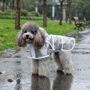 Transparent Hooded Dog Raincoat with Leash Hole