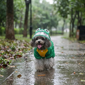 Frog Waterproof Dog Raincoat with Reflective Strip & Leash Hole