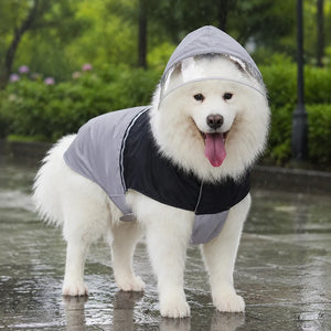 Large Dog Hooded Raincoat with Clear Visor