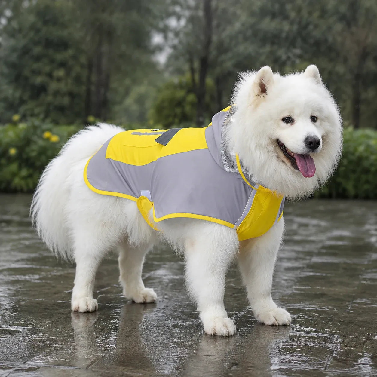 Large Dog Color Block Hooded Raincoat with Clear Visor - Gray Yellow 4