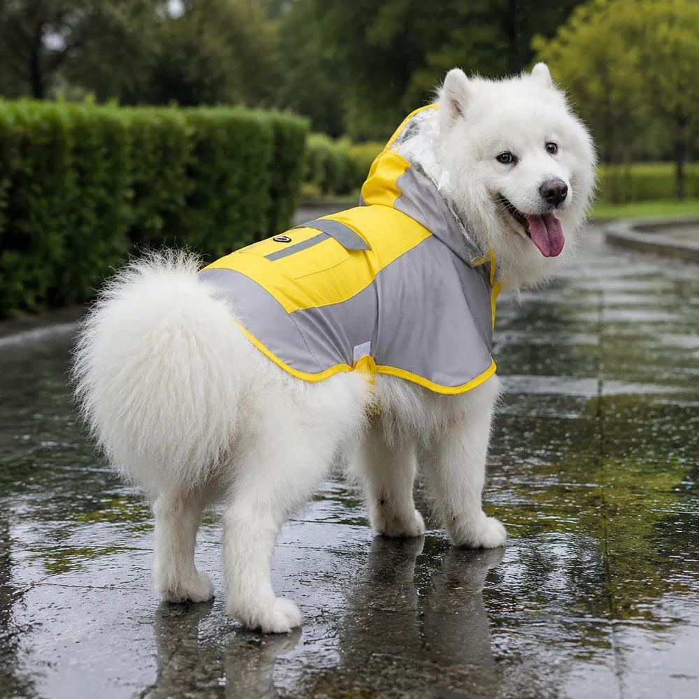 Large Dog Color Block Hooded Raincoat with Clear Visor