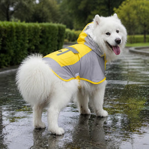 Large Dog Color Block Hooded Raincoat with Clear Visor