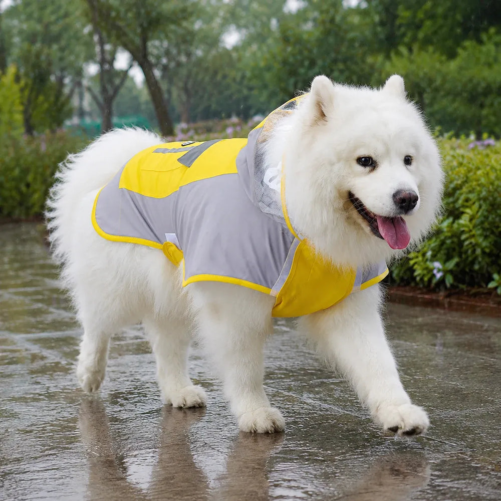 Large Dog Color Block Hooded Raincoat with Clear Visor