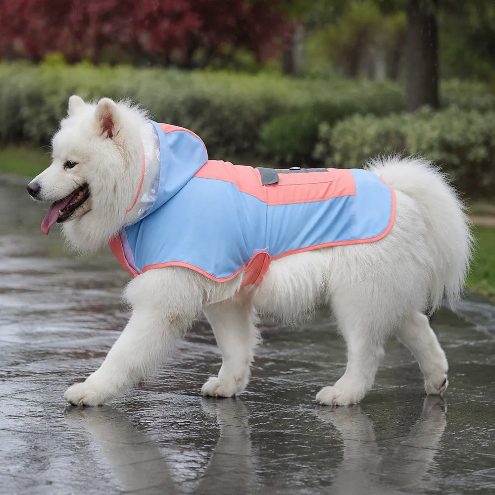 Large Dog Color Block Hooded Raincoat with Clear Visor